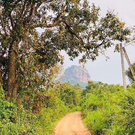 Hotel Sigiriya Kele Экстерьер фото