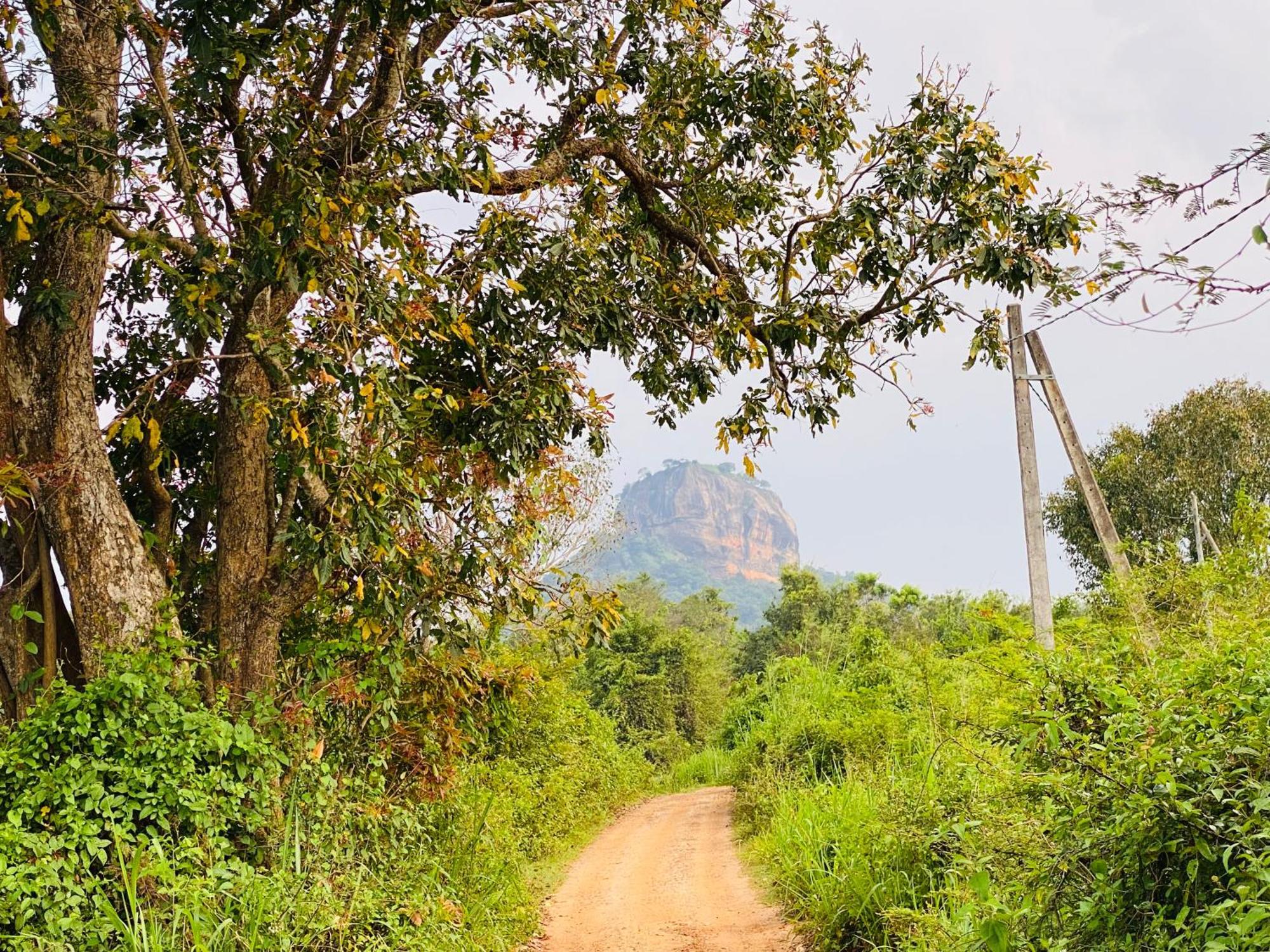 Hotel Sigiriya Kele Экстерьер фото