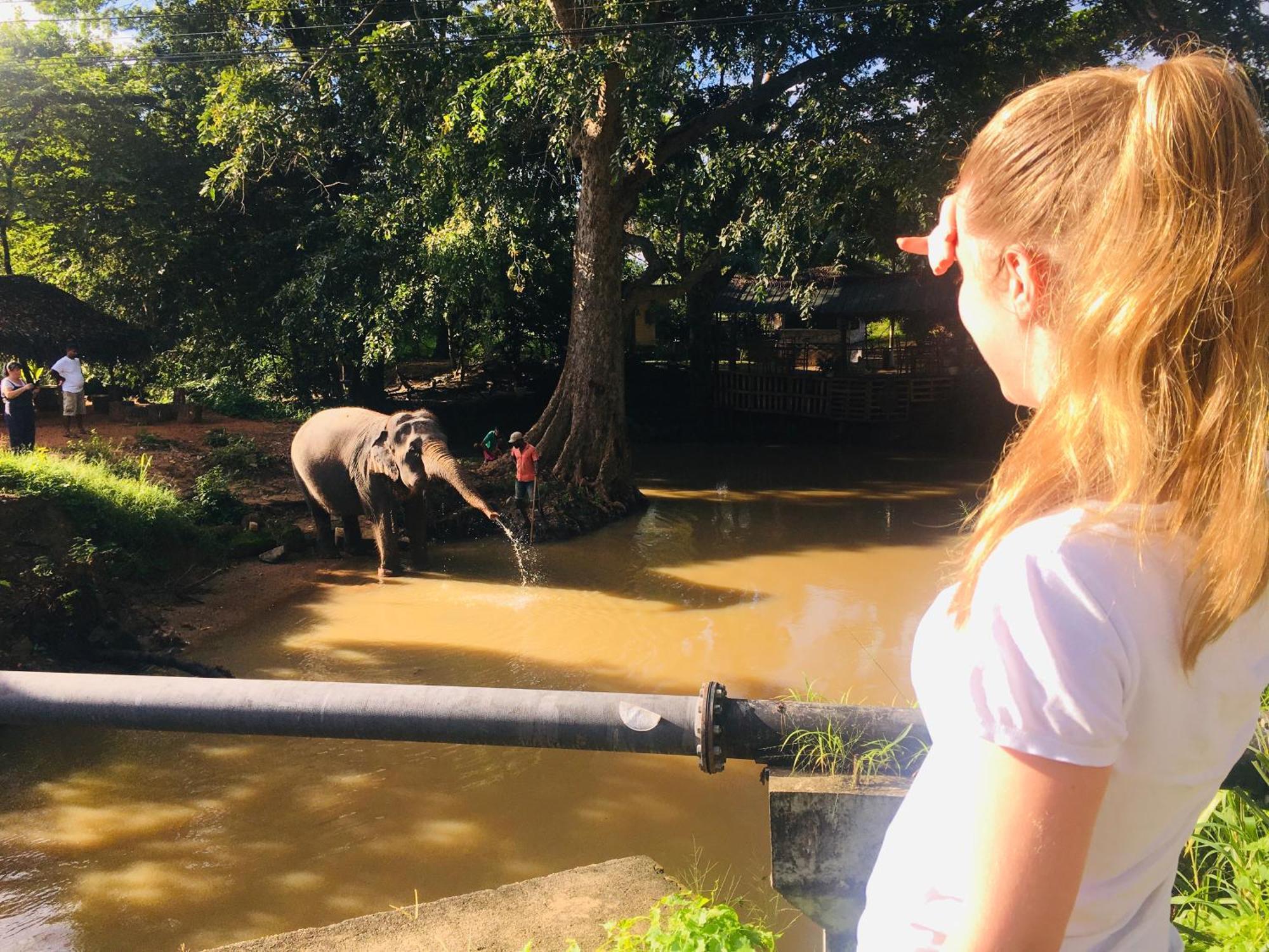 Hotel Sigiriya Kele Экстерьер фото